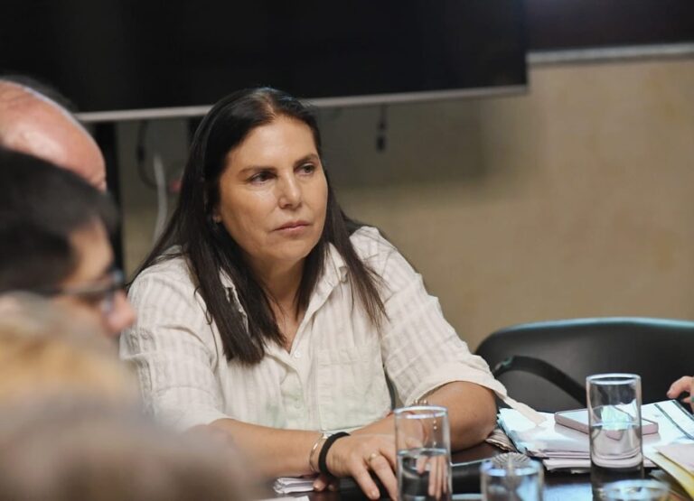 Lena destacó del discurso la referencia al desfalco en el Iosper