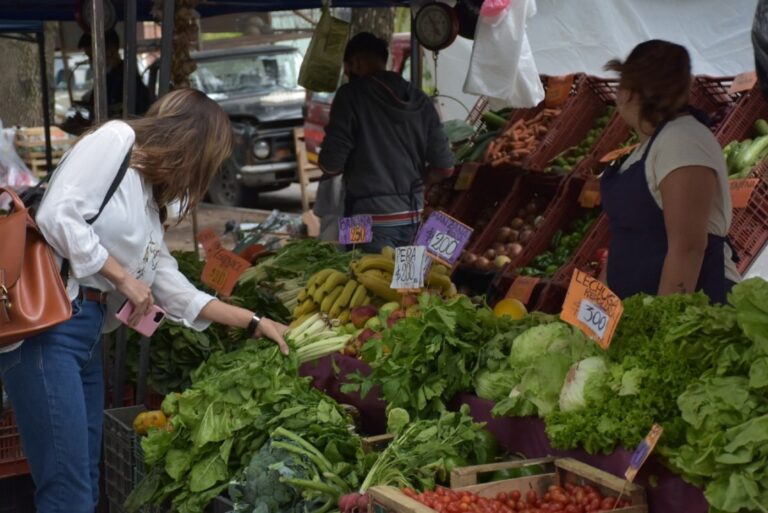 Cronograma de las Ferias de la Ciudad para esta semana.