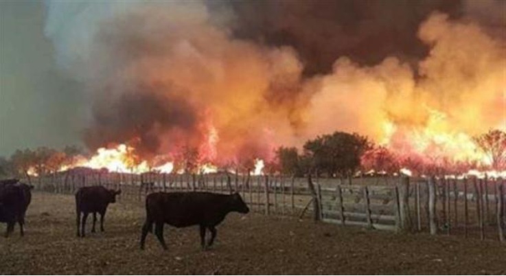 Productores exigen más presencia estatal ante los incendios