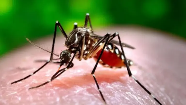 Se confirmó el tercer caso de dengue en Corrientes