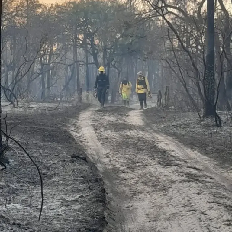 Se reactivó un foco de incendio en una Reserva Natural en Corrientes.
