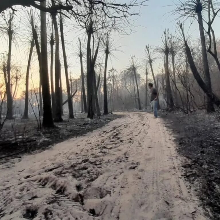 Fuego y destrucción en San Cayetano: El clima y la sequía son como una ruleta rusa