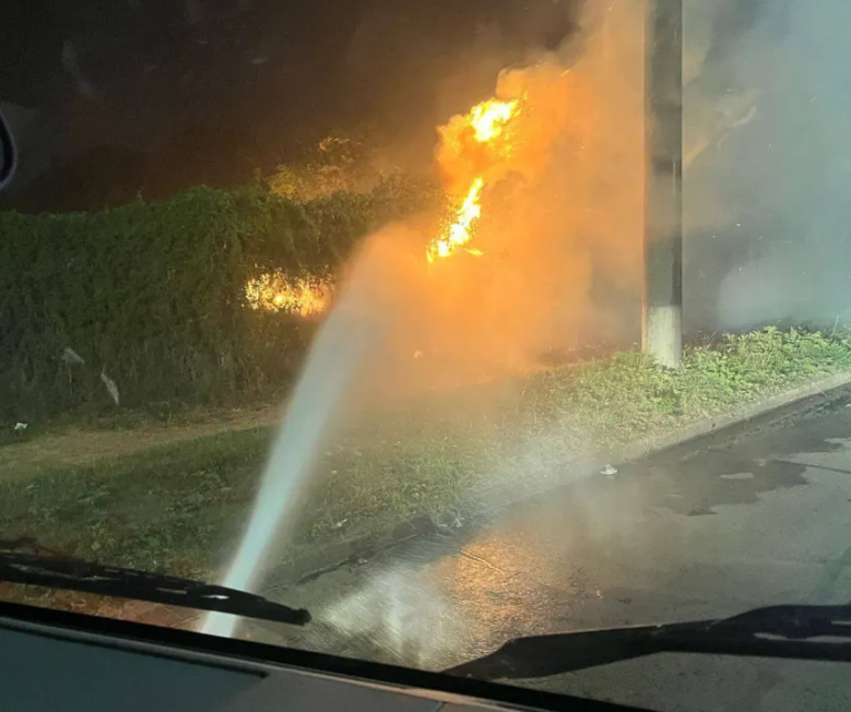 Impresionante incendio casi destruye totalmente el Jardín Botánico de Corrientes