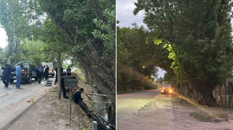 Mendoza: un hombre murió al chocar un árbol.