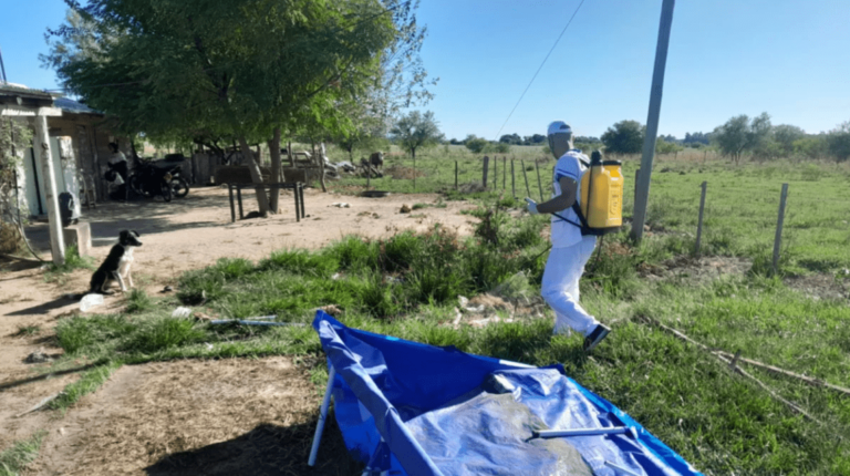 Dengue: con la detección de nuevos casos Corrientes suma 13 positivos en lo que va del año