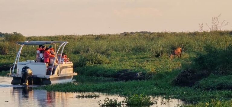Corrientes revela sus tesoros naturales: Fam Press en el Isoró e Iberá