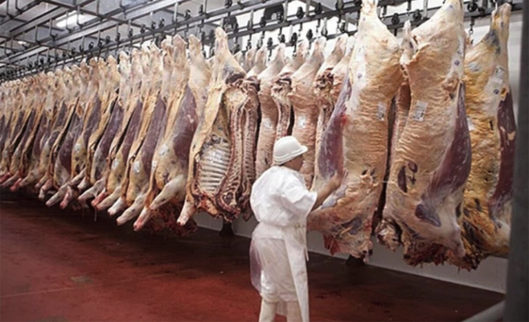 El país de la carne importará asado desde Brasil: el último síntoma de un modelo sin industria