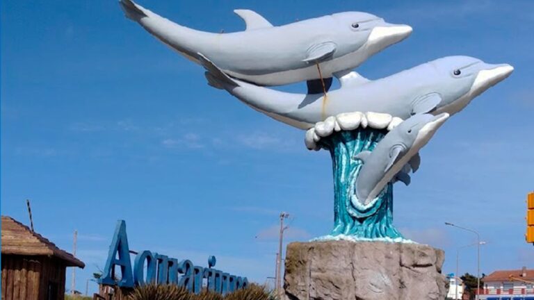 Incertidumbre por los animales del Aquarium Mar del Plata