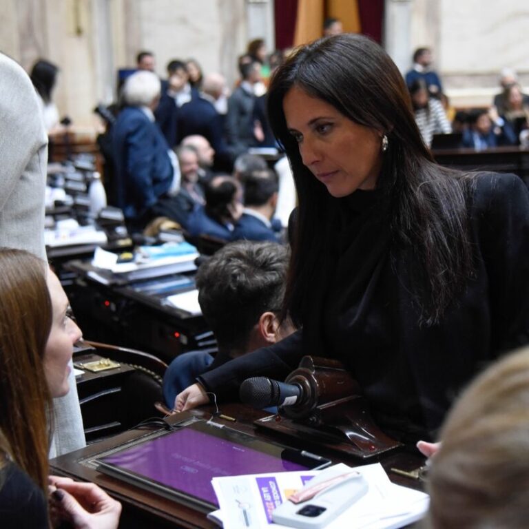 Solicitan informe sobre la postergación de la trazabilidad electrónica