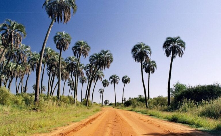 Aumenta la incertidumbre en el personal del Parque El Palmar