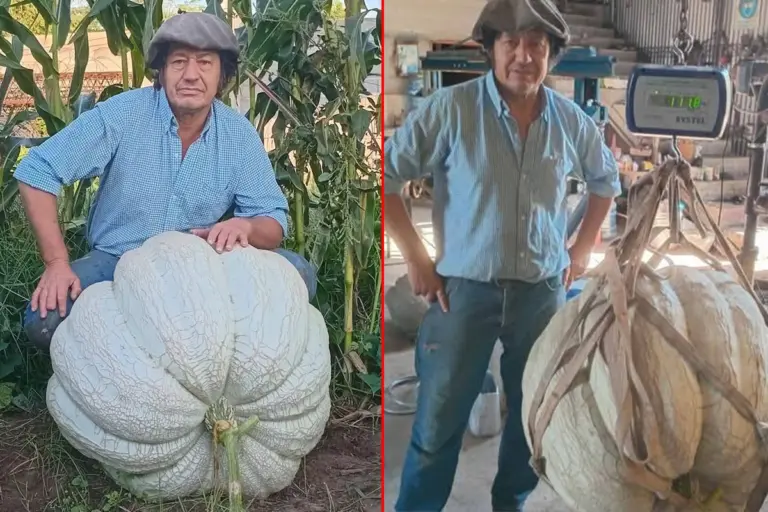 Productor entrerriano cosechó un zapallo de más de 111 kilos en Córdoba