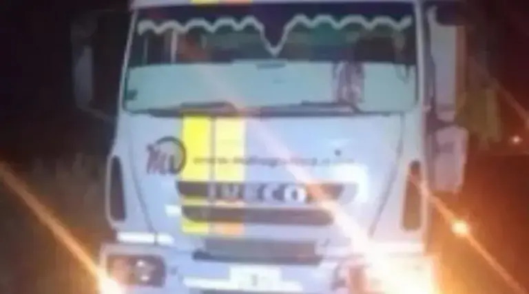 Robaron 12 millones a un camionero tras violento asalto