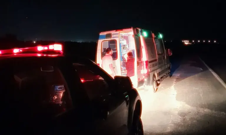 Navegaba en Entre Ríos y sufrió múltiples picaduras de abejas: lo trasladaron de urgencia