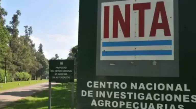 «Silencio en el campo: el INTA se desangra y el país siembra incertidumbre»