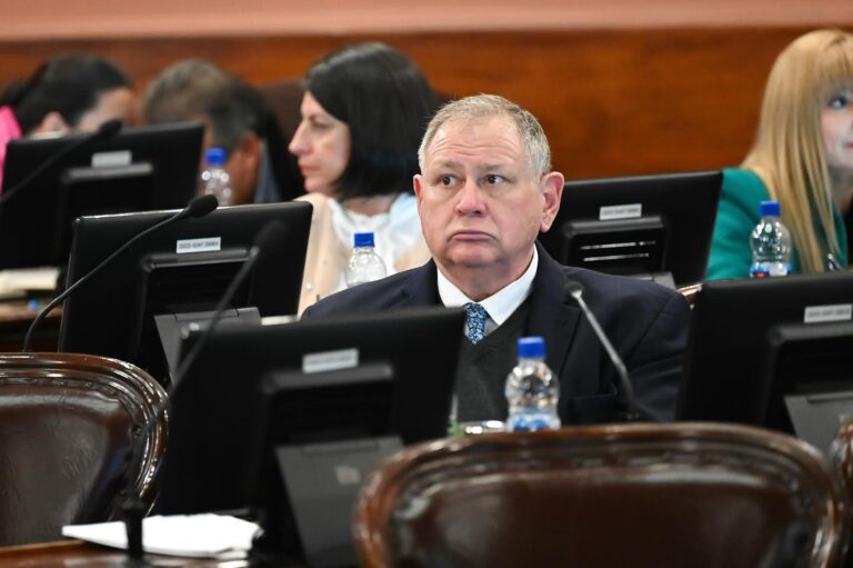 El diputado Rogel, presidente de la Comisión Bicameral de Derechos Humanos