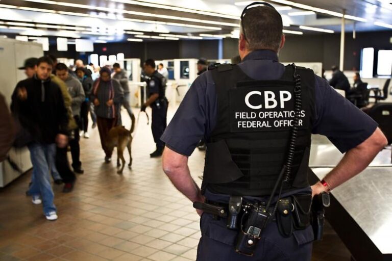 Quisieron ingresar a EE.UU. con estas frutas y comida, pero la CBP los revisó y aplicó la multa