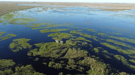 Los Esteros del Iberá fueron elegidos como Maravilla de América Latina 2025