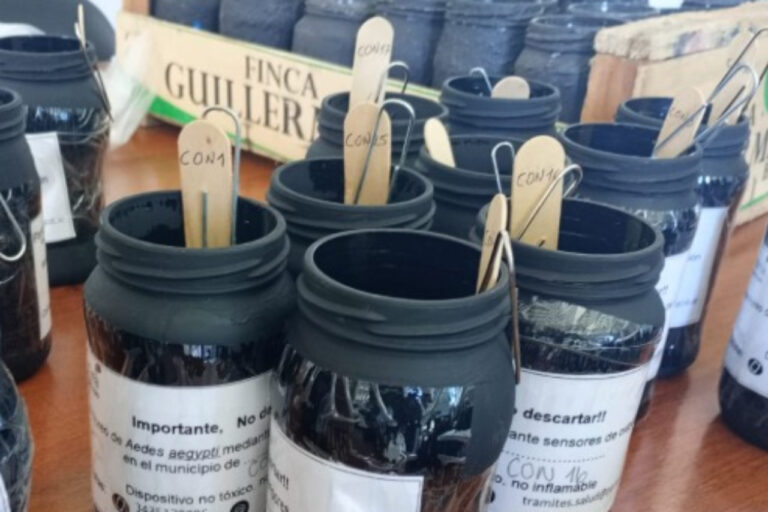 Dengue: duplican las ovitrampas en la ciudad