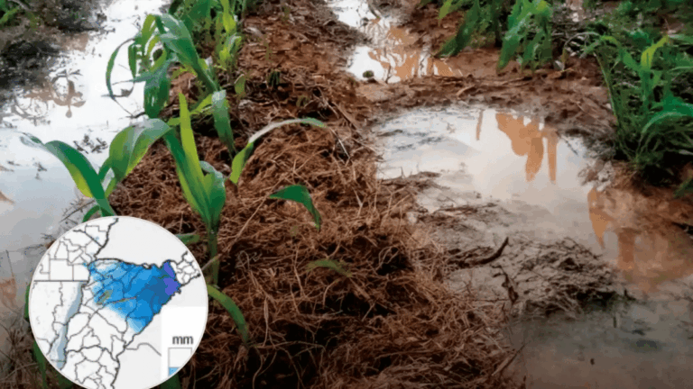 Corrientes se ubica entre las provincias con mayor exceso de agua en el suelo