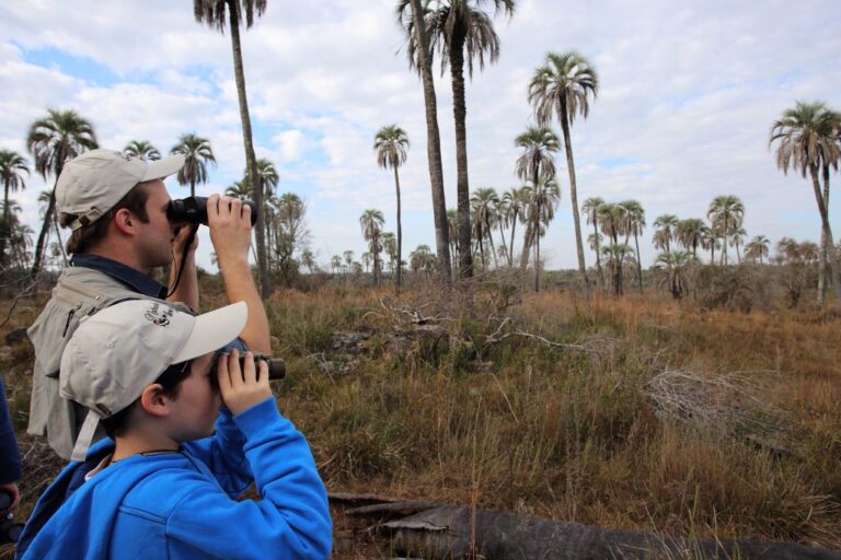Entre Ríos entregó 40 certificados de homologación a alojamientos de Tierra de Palmares