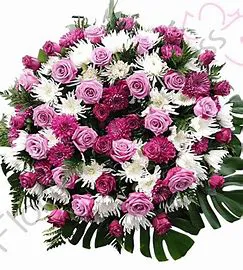 CANALS MARIA ANGELICA