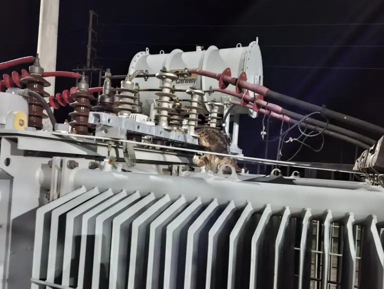 Por culpa de una gata se quedaron sin luz en Chajarí y colonias.