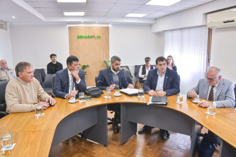 El Senado analiza los pedidos de acuerdo para 16 defensores oficiales