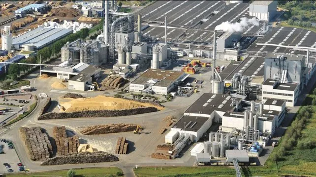 Vecinos de la planta de la ex Masisa irán a la Justicia con amparo ambiental